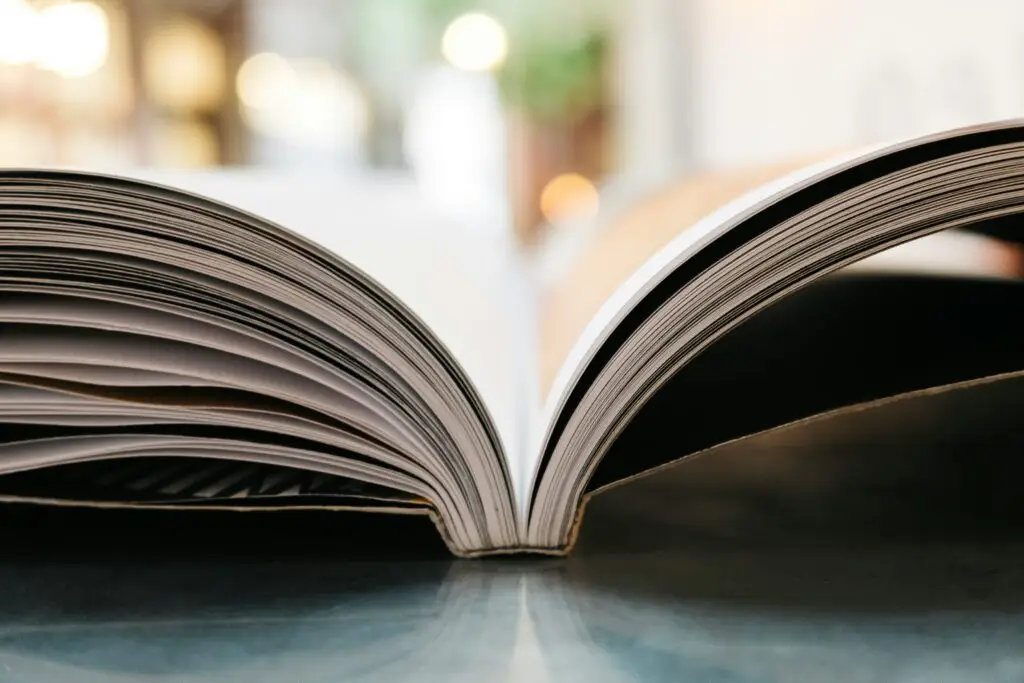 5 Biographies about Mental Health
