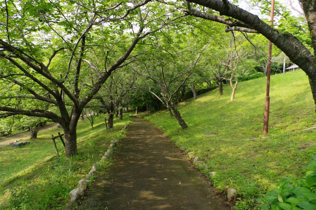 trauma recovery retreat